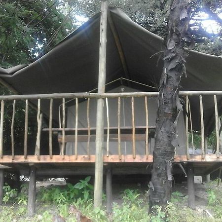 Okavango River Lodge Маун Экстерьер фото
